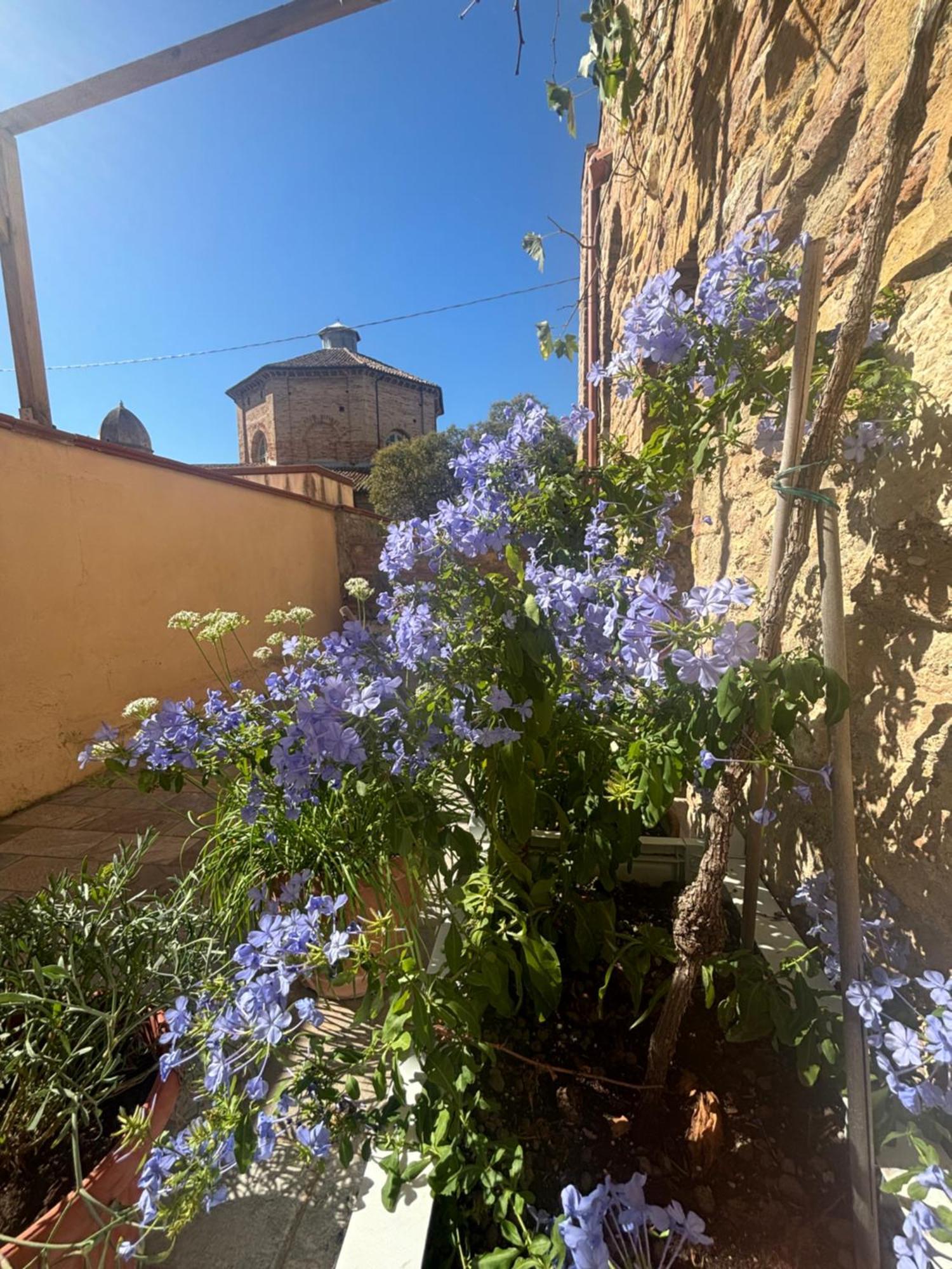 Domus Mirabilis Homestay Ancona Dış mekan fotoğraf